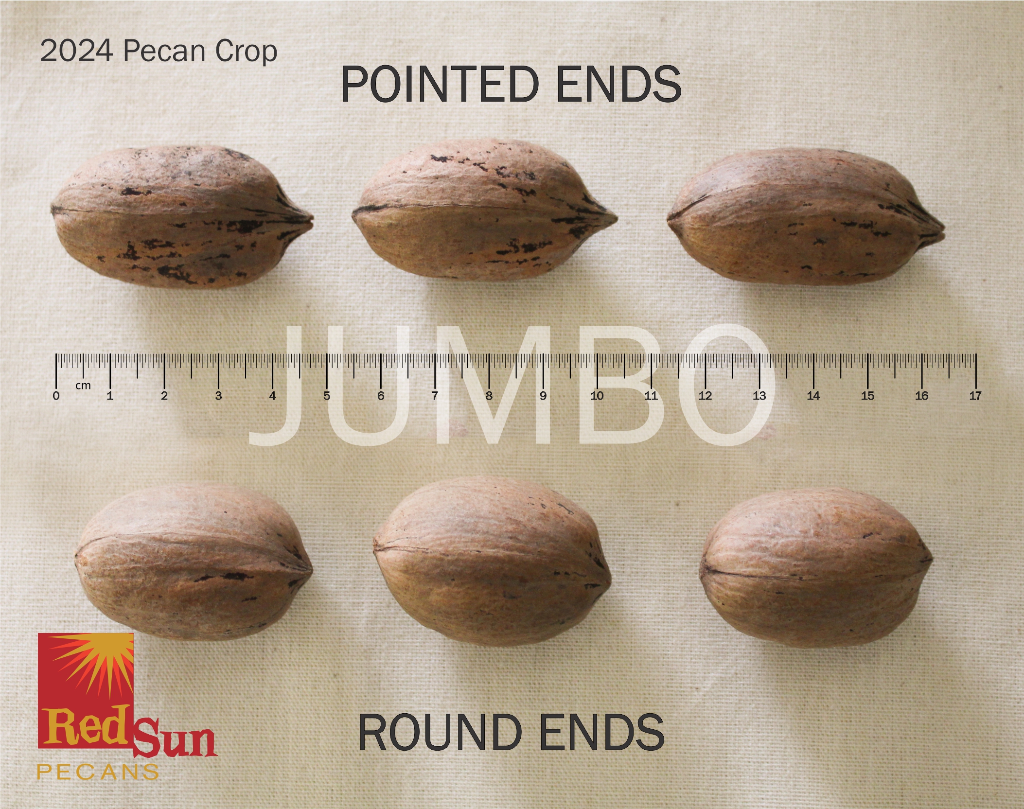 Unshelled Pecans (NIS): JUMBO
