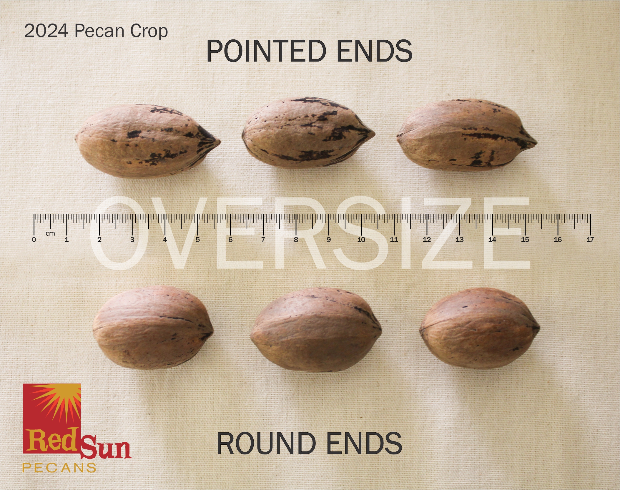 Unshelled Pecans (NIS): OVERSIZE