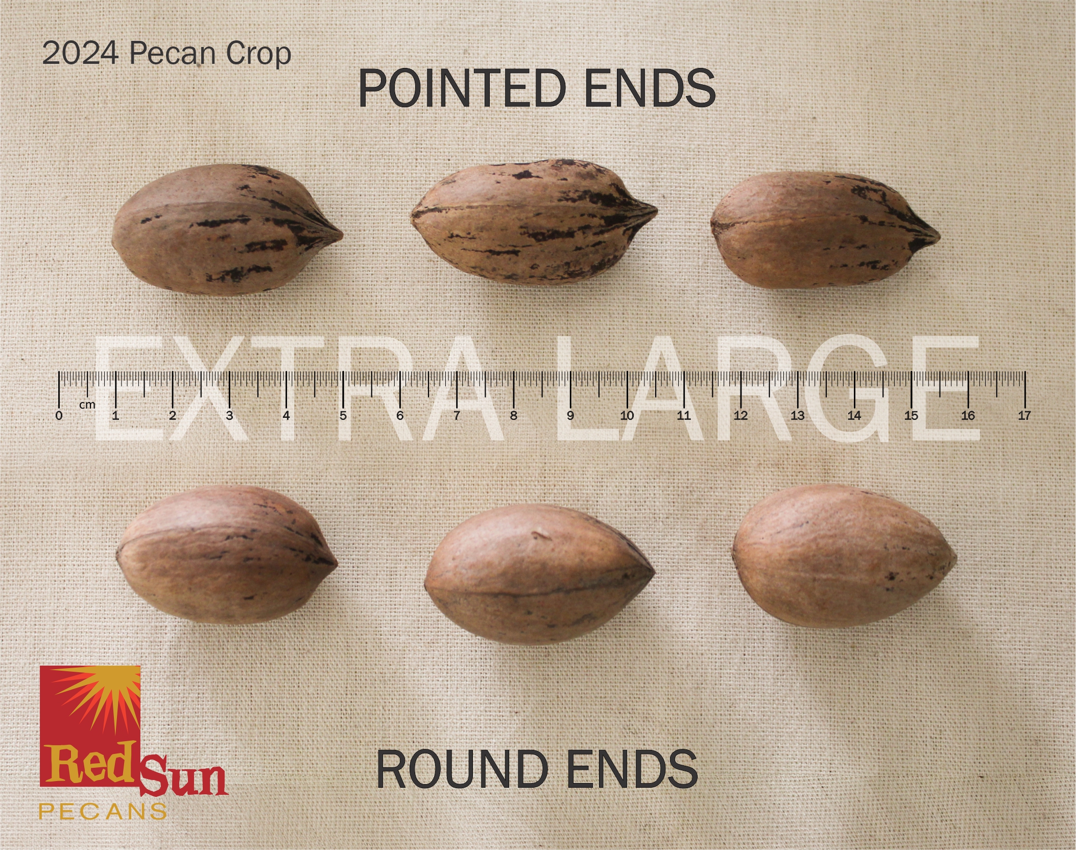 Unshelled Pecans (NIS): EXTRA LARGE